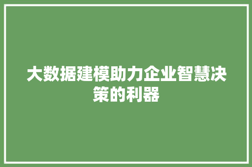 大数据建模助力企业智慧决策的利器