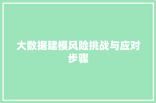 大数据建模风险挑战与应对步骤