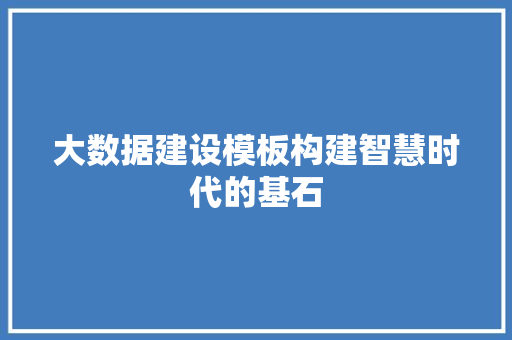 大数据建设模板构建智慧时代的基石