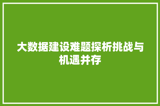 大数据建设难题探析挑战与机遇并存