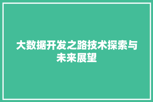 大数据开发之路技术探索与未来展望