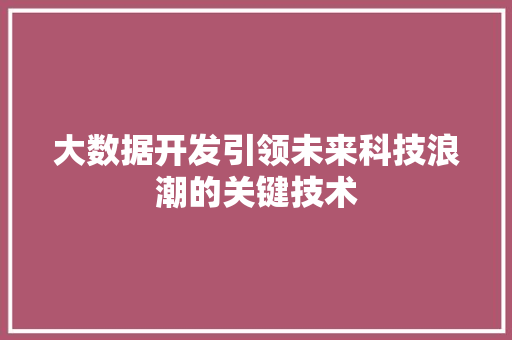 大数据开发引领未来科技浪潮的关键技术