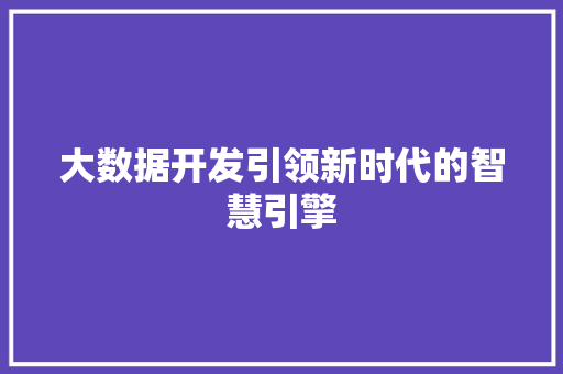 大数据开发引领新时代的智慧引擎