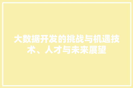 大数据开发的挑战与机遇技术、人才与未来展望