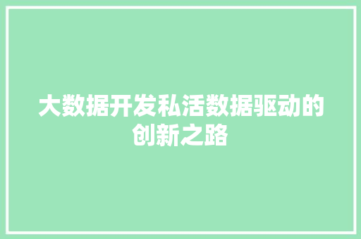 大数据开发私活数据驱动的创新之路