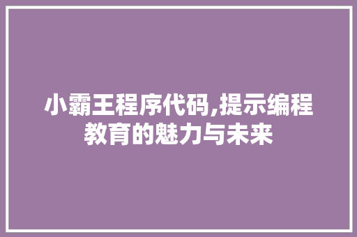 小霸王程序代码,提示编程教育的魅力与未来