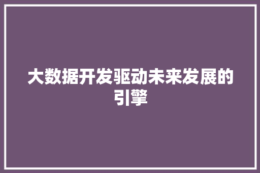 大数据开发驱动未来发展的引擎