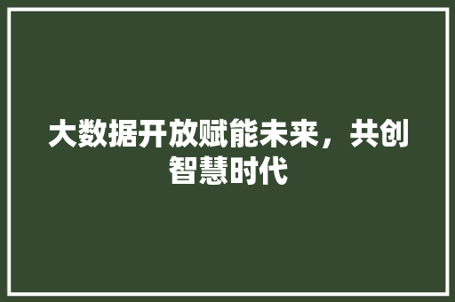 大数据开放赋能未来，共创智慧时代