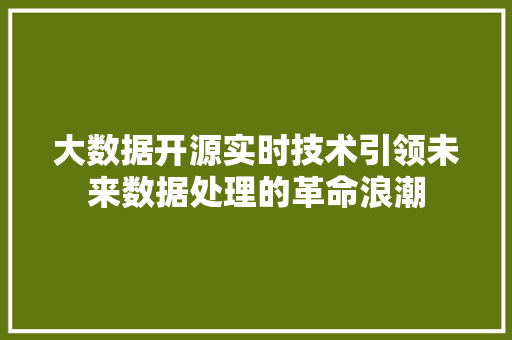 大数据开源实时技术引领未来数据处理的革命浪潮