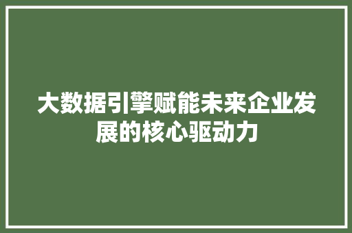 大数据引擎赋能未来企业发展的核心驱动力