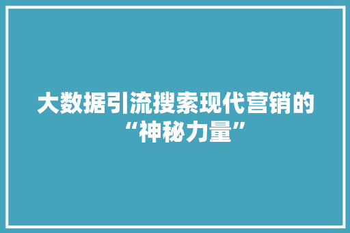大数据引流搜索现代营销的“神秘力量”