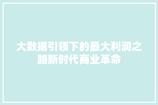 大数据引领下的最大利润之路新时代商业革命
