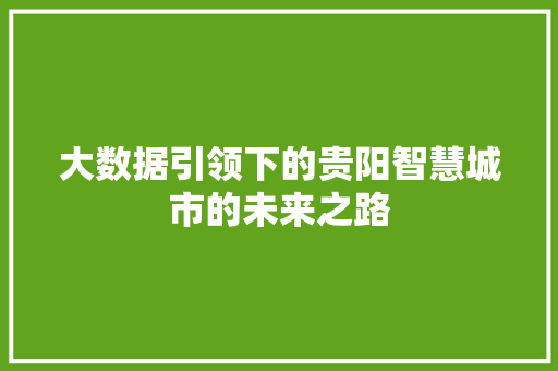 大数据引领下的贵阳智慧城市的未来之路