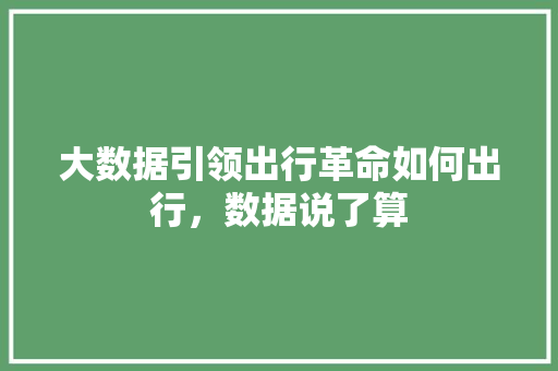 大数据引领出行革命如何出行，数据说了算