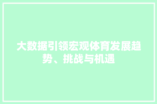 大数据引领宏观体育发展趋势、挑战与机遇