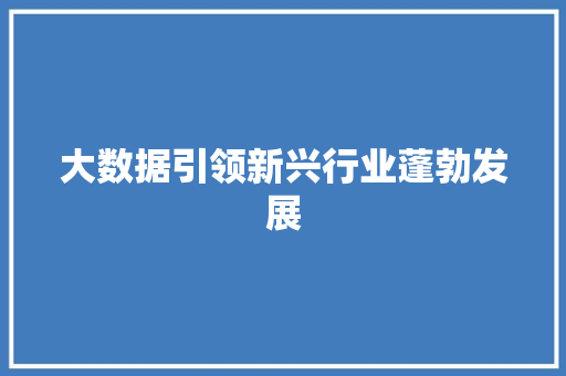 大数据引领新兴行业蓬勃发展