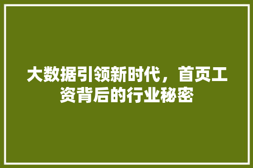 大数据引领新时代，首页工资背后的行业秘密