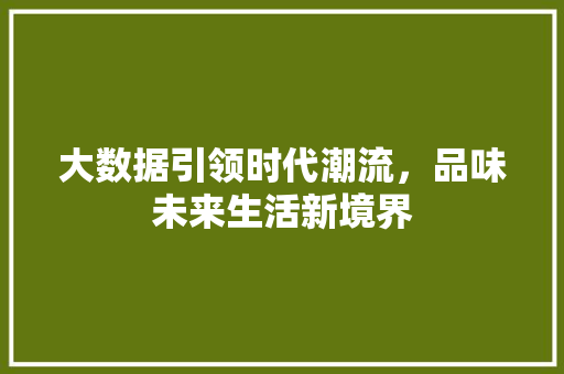 大数据引领时代潮流，品味未来生活新境界