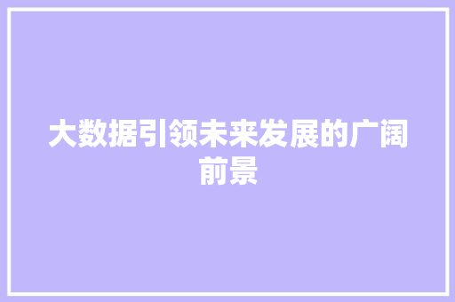 大数据引领未来发展的广阔前景