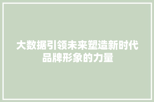 大数据引领未来塑造新时代品牌形象的力量