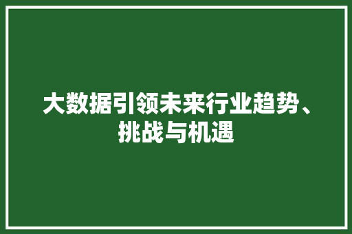 大数据引领未来行业趋势、挑战与机遇