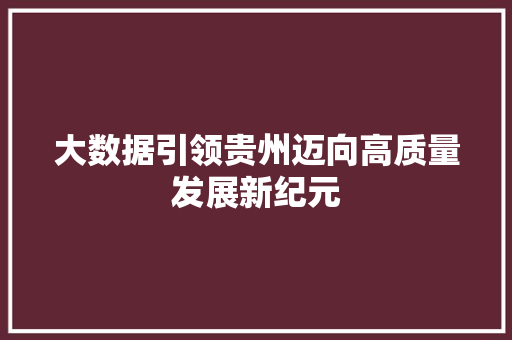 大数据引领贵州迈向高质量发展新纪元