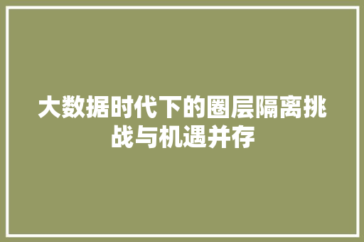 大数据时代下的圈层隔离挑战与机遇并存