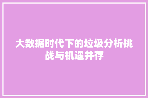 大数据时代下的垃圾分析挑战与机遇并存