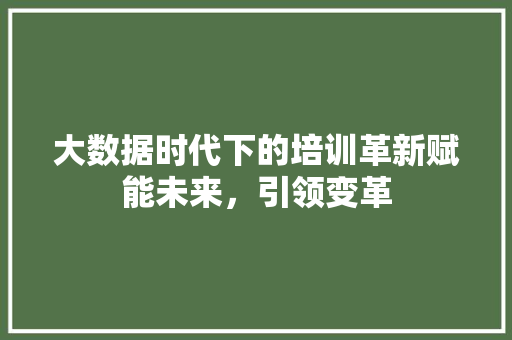 大数据时代下的培训革新赋能未来，引领变革