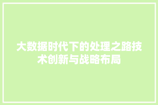 大数据时代下的处理之路技术创新与战略布局