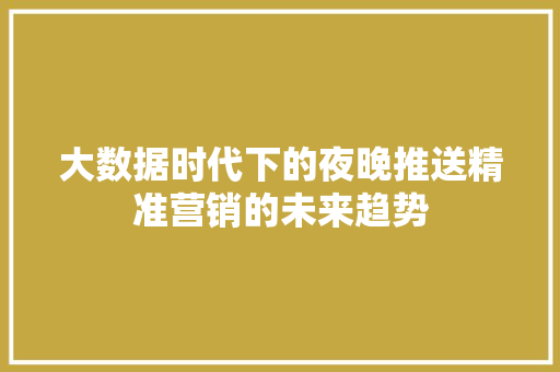 大数据时代下的夜晚推送精准营销的未来趋势