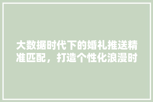 大数据时代下的婚礼推送精准匹配，打造个性化浪漫时刻