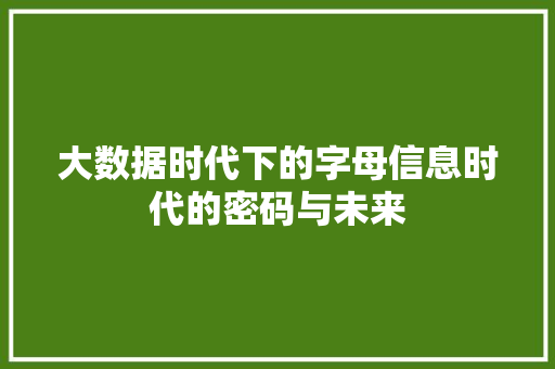大数据时代下的字母信息时代的密码与未来