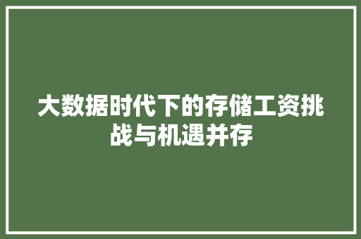 大数据时代下的存储工资挑战与机遇并存