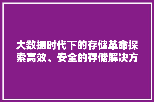 大数据时代下的存储革命探索高效、安全的存储解决方法