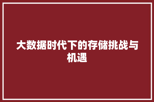 大数据时代下的存储挑战与机遇