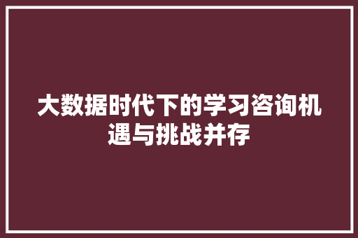 大数据时代下的学习咨询机遇与挑战并存