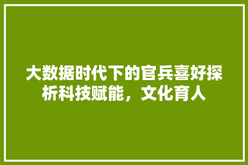 大数据时代下的官兵喜好探析科技赋能，文化育人