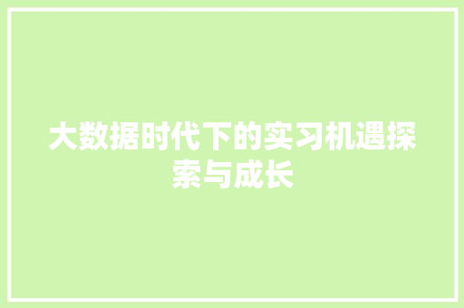 大数据时代下的实习机遇探索与成长