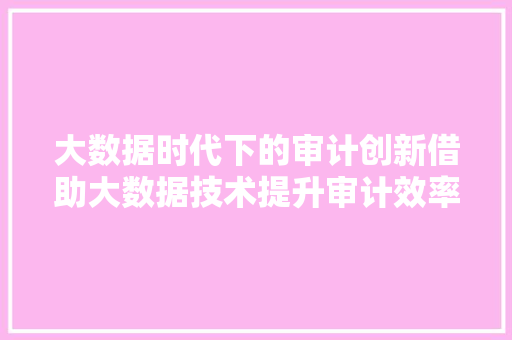 大数据时代下的审计创新借助大数据技术提升审计效率与质量