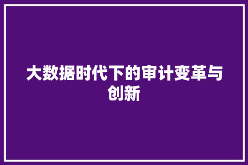 大数据时代下的审计变革与创新