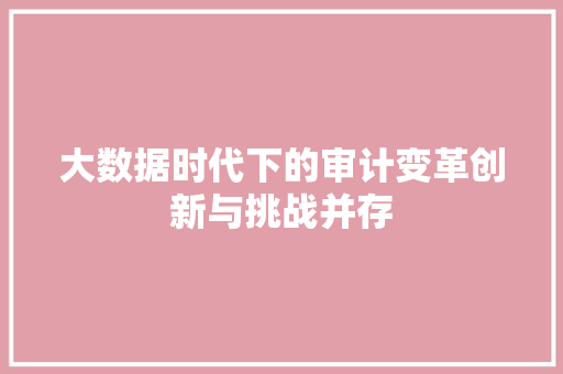 大数据时代下的审计变革创新与挑战并存
