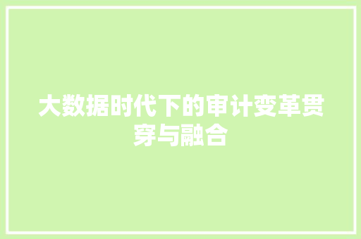 大数据时代下的审计变革贯穿与融合