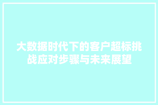 大数据时代下的客户超标挑战应对步骤与未来展望