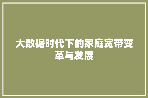 大数据时代下的家庭宽带变革与发展