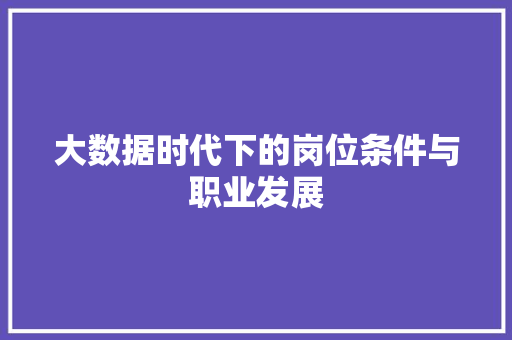大数据时代下的岗位条件与职业发展
