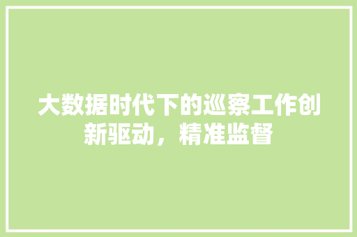 大数据时代下的巡察工作创新驱动，精准监督