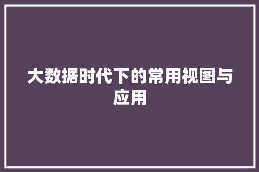 大数据时代下的常用视图与应用