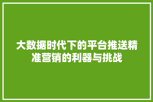 大数据时代下的平台推送精准营销的利器与挑战