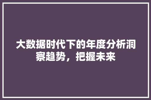 大数据时代下的年度分析洞察趋势，把握未来